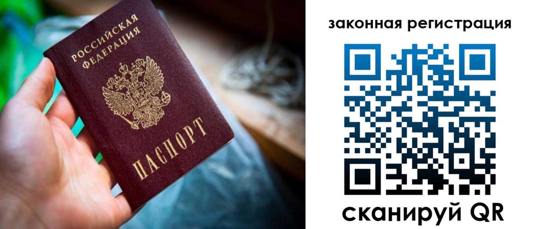 прописка в Новгородской области